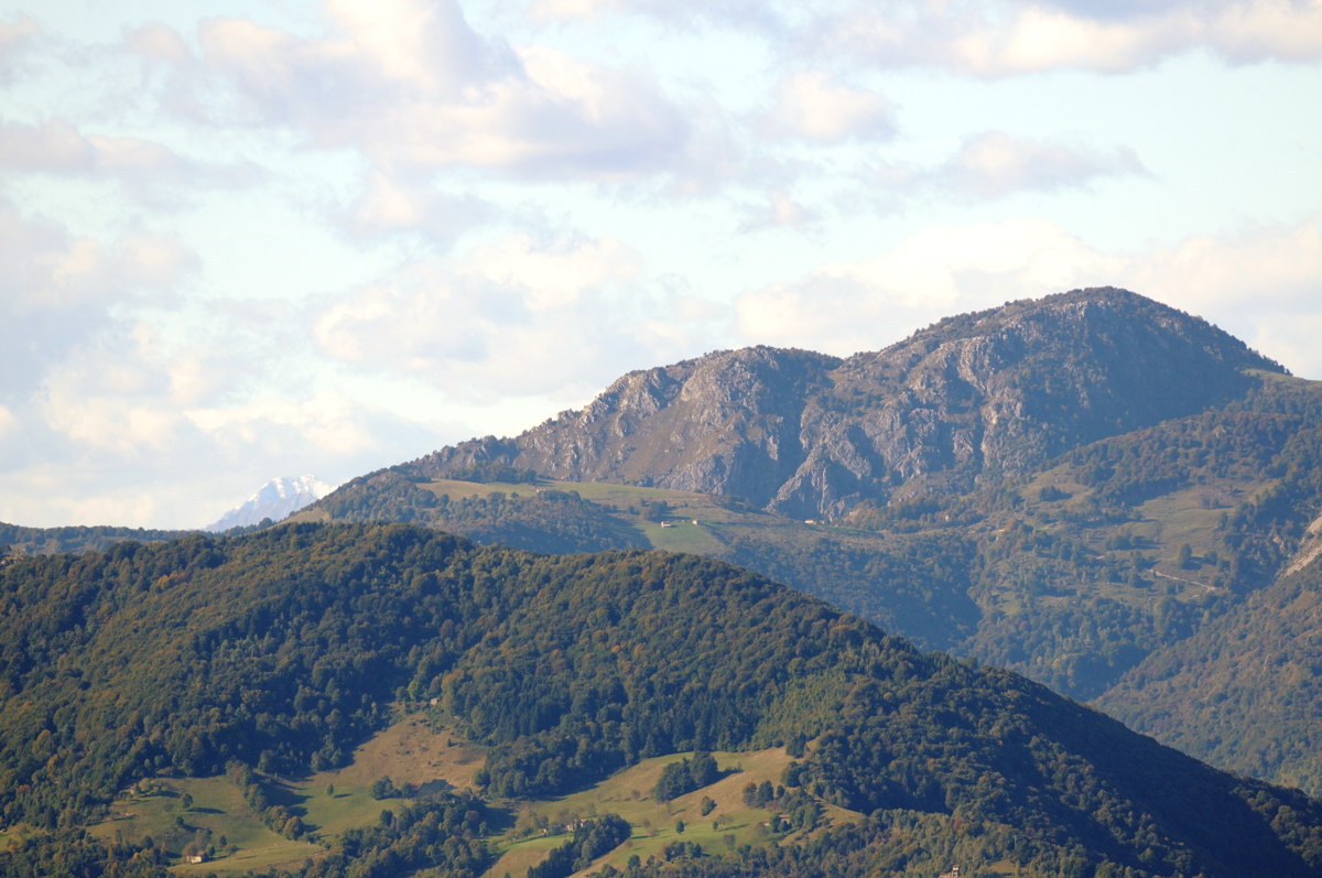 Aiuto riconoscimento Orobie, Prealpi bergamasche e bresciane